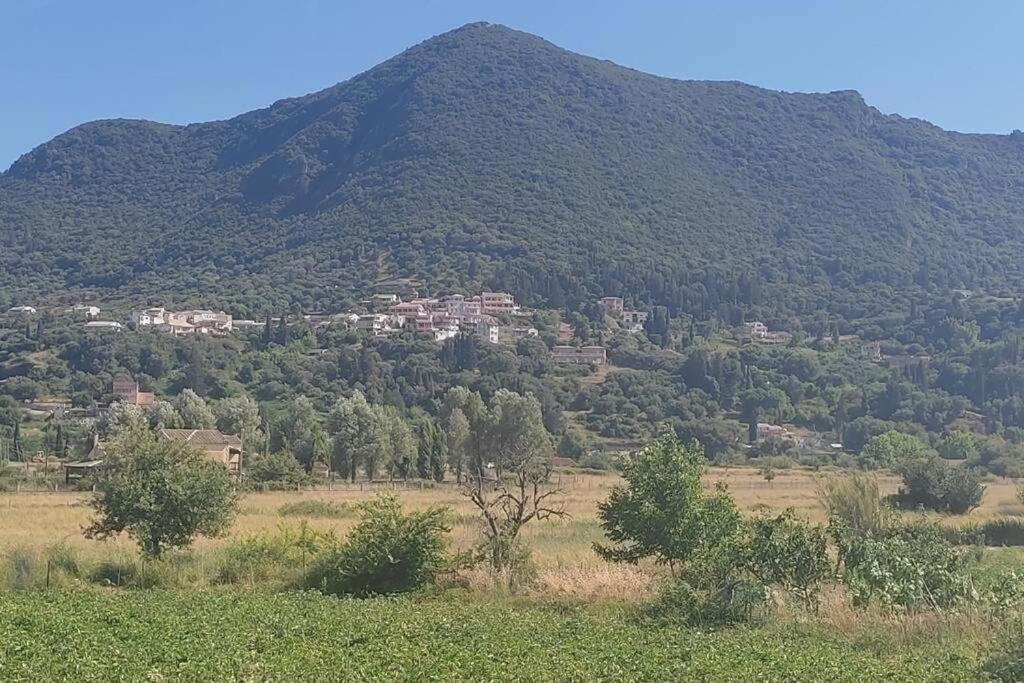 Vatos Studio Εξωτερικό φωτογραφία